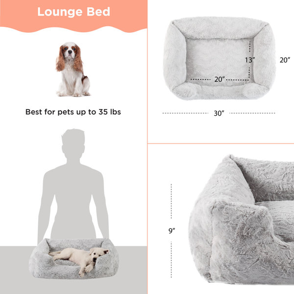 Wainwrights dogs clearance best friend bed